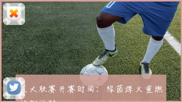 五大联赛开赛时间:绿茵烽火重燃的倒计时
