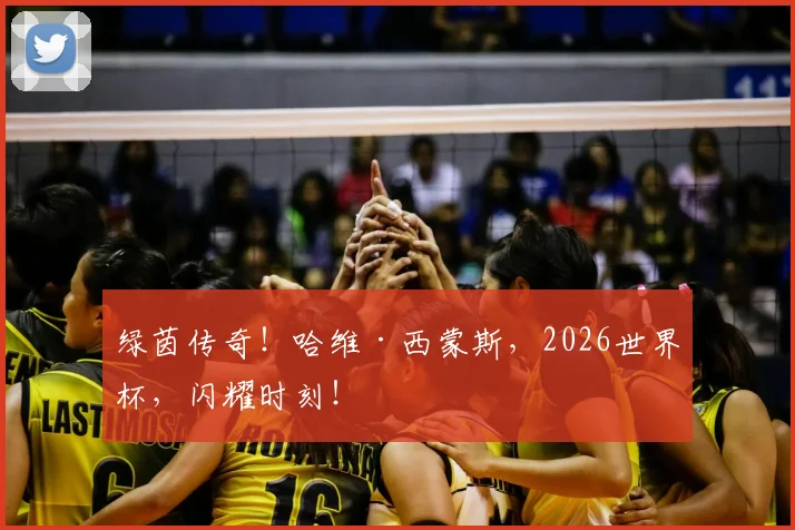 绿茵传奇!哈维·西蒙斯,2026世界杯,闪耀时刻!