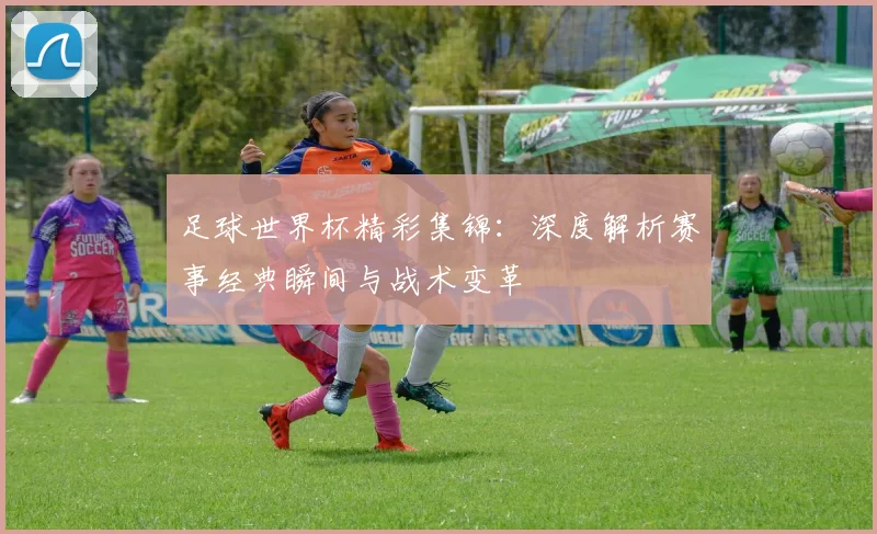 足球世界杯精彩集锦:深度解析赛事经典瞬间与战术变革