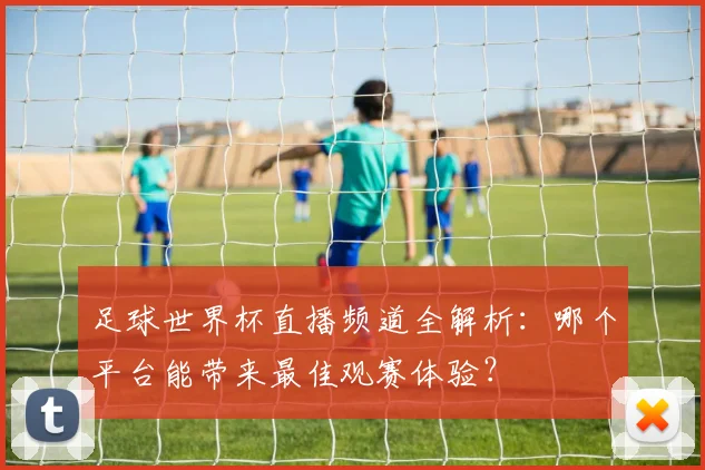 足球世界杯直播频道全解析：哪个平台能带来最佳观赛体验？