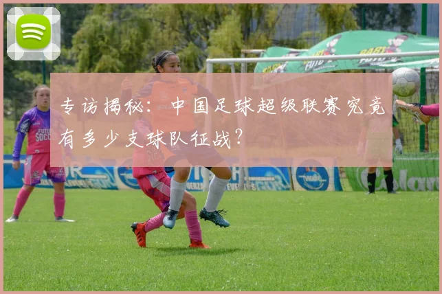 专访揭秘：中国足球超级联赛究竟有多少支球队征战？